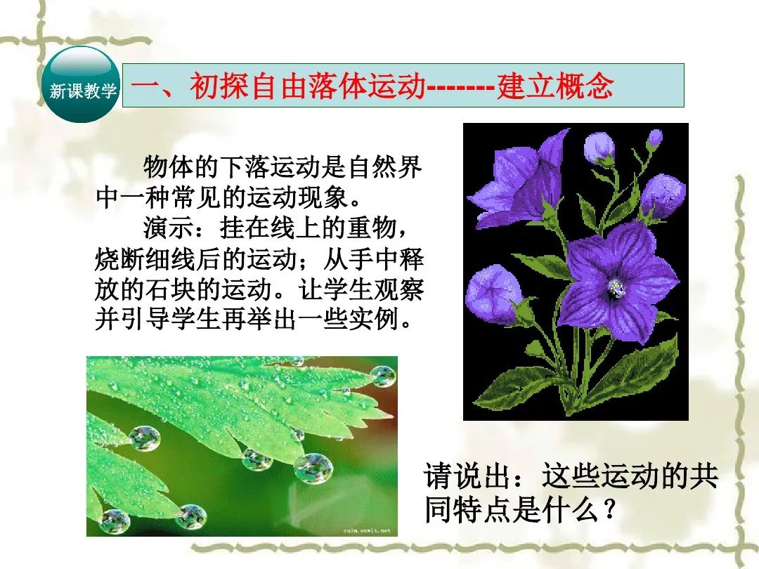 自由落体运动加速度恒定吗_自由落体速度与加速度的关系_自由落体运动加速度