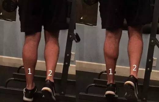 益身健体是什么意思_动益健身_健身益脑什么意思