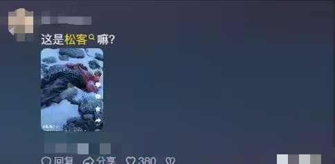 极限运动的意义_极限的运动_极限意义是什么