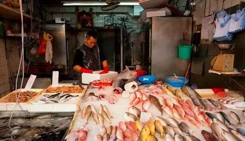 海钓运动_海钓玩法_运动海钓艇