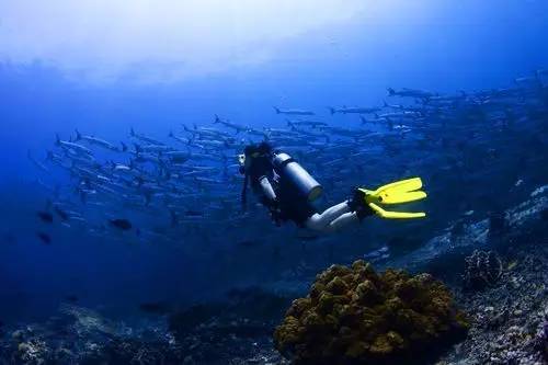 海钓玩法_运动海钓艇_海钓运动