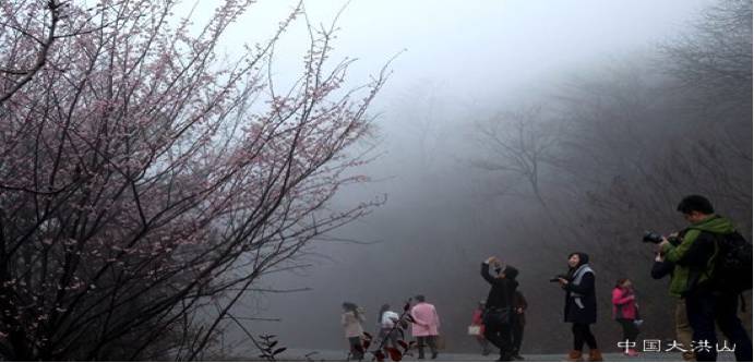 马拉松修复_修马拉松_马拉松为什么叫马拉松