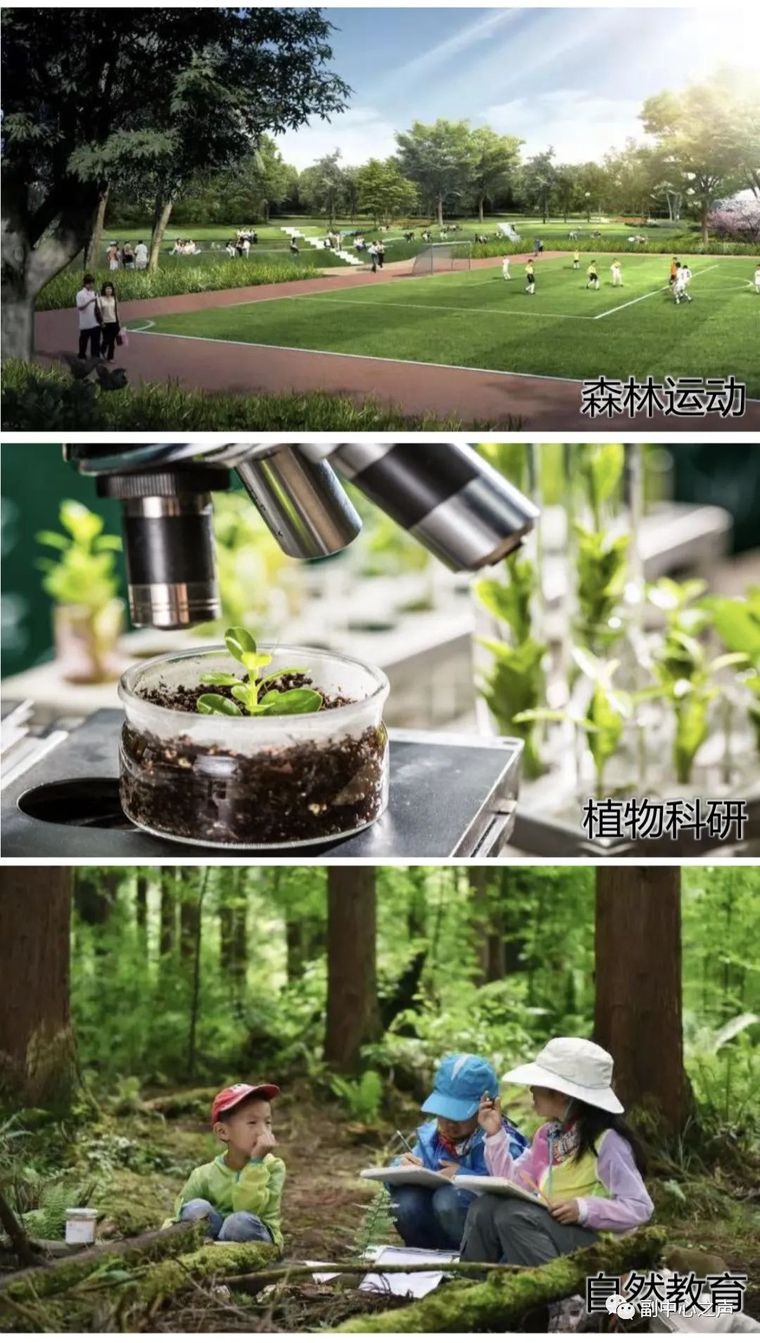 燕运动操_燕运动_燕运动鞋市材料