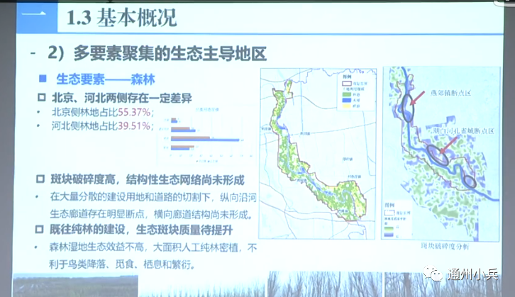 燕运动鞋市材料_燕运动操_燕运动