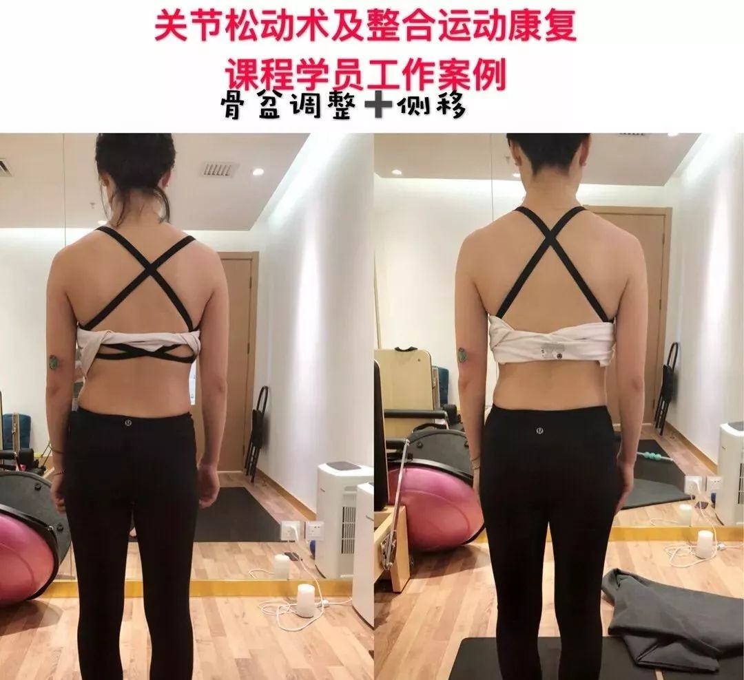 整合运动全员图_整合运动领袖_整合运动